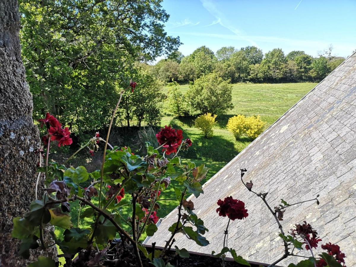 Bed and Breakfast Manoir De La Foulerie Ancteville Zewnętrze zdjęcie
